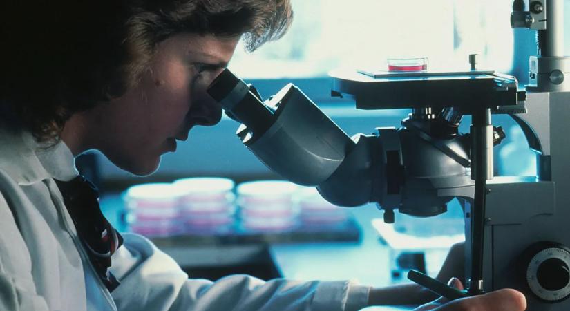 Életéért küzd a fiatal humorista, súlyos betegséget diagnosztizáltak nála