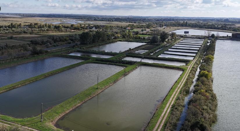 Megjelent a Halászat szaklap áprilisi száma
