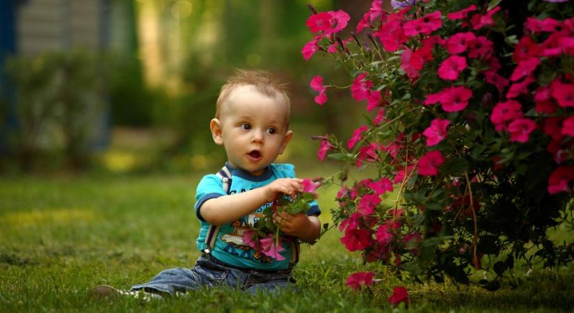 Így óvd meg gyerekedet a kullancs csípésétől