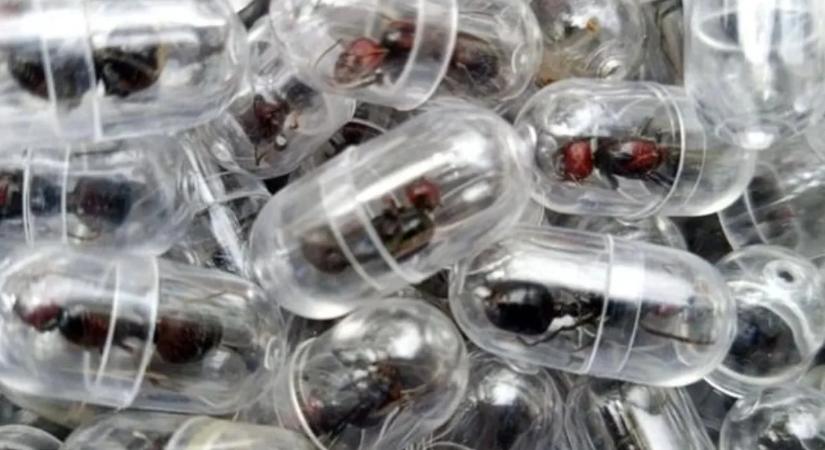 Megdöbbentő fogás a reptéren: senki sem gondolná, hogy mit csempésznek manapság