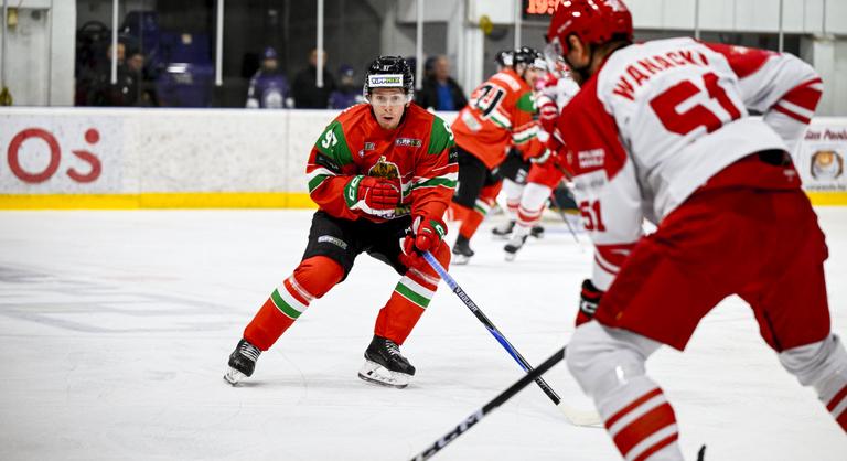 A férfi hokiválogatott hazai győzelemmel/vereséggel indította vb-felkészülési sorozatát