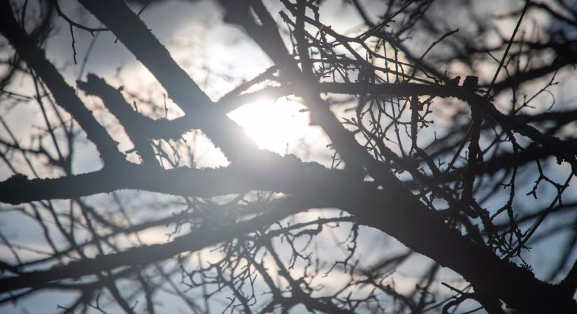 Tovább melegszik az idő: tavaszi meleg jöhet pénteken