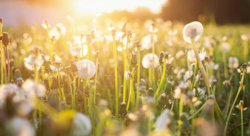 Időjárás 2026. április 17.: Meleg és szeles péntek elé nézünk