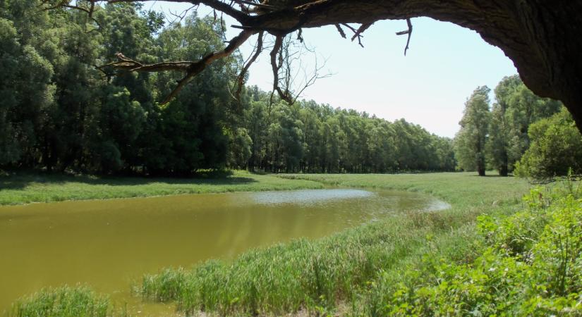 Tolna vármegye kihagyhatatlan úti céljai tavaszi kiránduláshoz