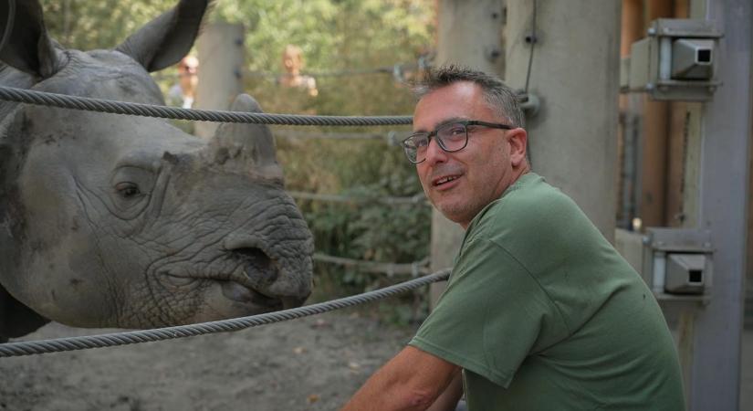 Sváby András lepadlózott a Magyar Péter-interjú nézettségi görbéjétől