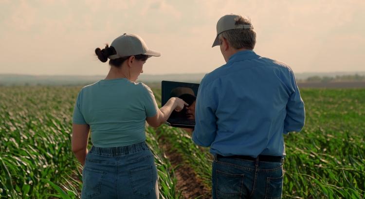 Ketyeg az óra: indul a támogatási hajrá