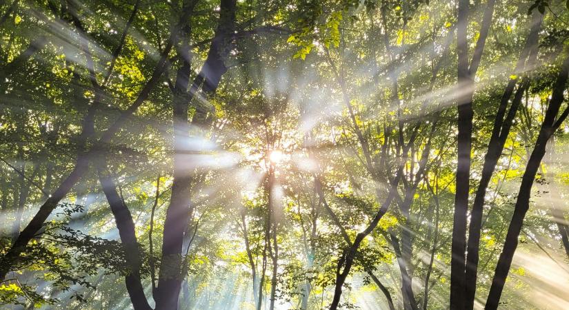 Elérkezett, amire mindenki várt: Így köszönt be a tavasz hazánkba