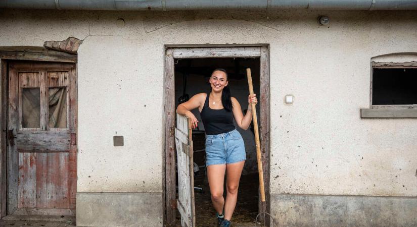 „Konditeremért fizetni? Keressen egy tanyát, és járjon oda dolgozni!”