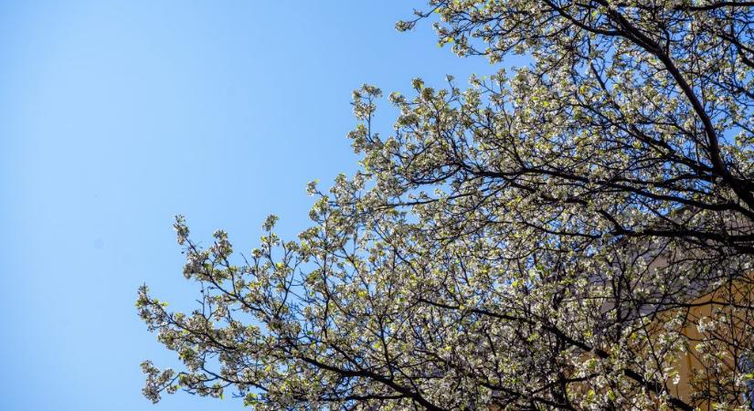 Húsz fok feletti napsütéses idő lesz a kormányváltás utáni első hétvégén