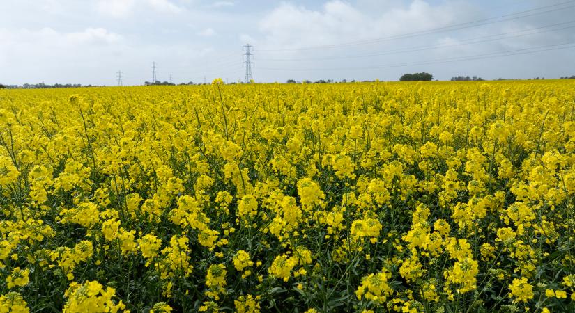 Nyakunkba ömlik az eső: 7 vármegyére adtak ki figyelmeztetést