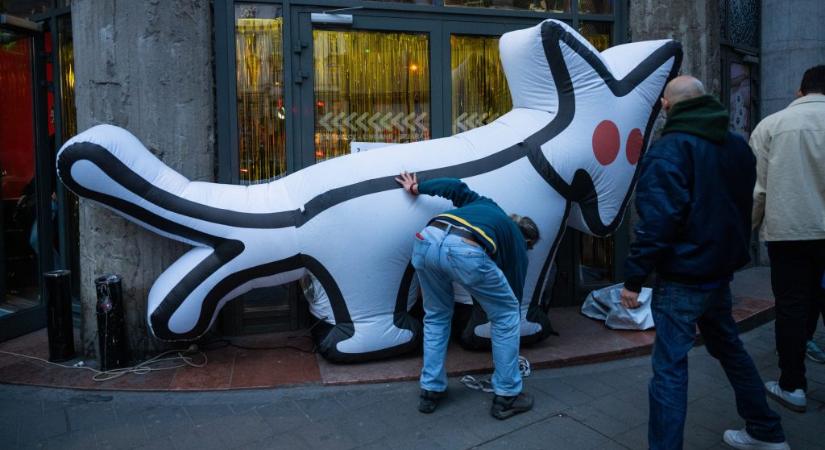 Kutyapárti alelnök: Sokkhatás alatt vannak a jelöltjeink a 686 milliós visszafizetés miatt