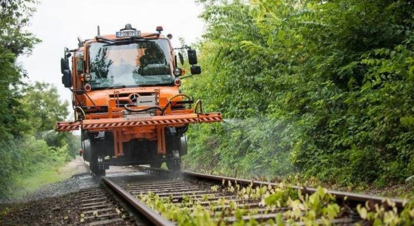 Gyomirtás kezdődik a MÁV vasúthálózatán – felhívást tett közzé a szabolcsi város önkormányzata