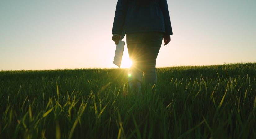 Adózó bérleti díj, fizetős földhivatal és hasonló kérdések: megszólal a szakértő