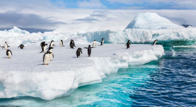 Az Antarktisz elkezdett hízni – kiderült, mi az oka