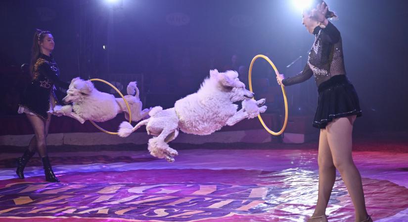 Felszállás Debrecenben a Richter cirkusz repülőjére