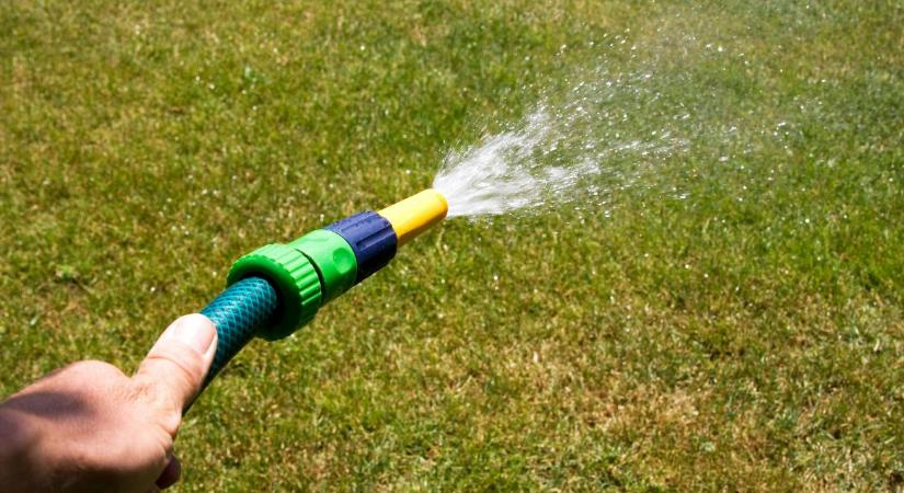 Ezért sárgul a gyep - nem az öntözés a hibás?