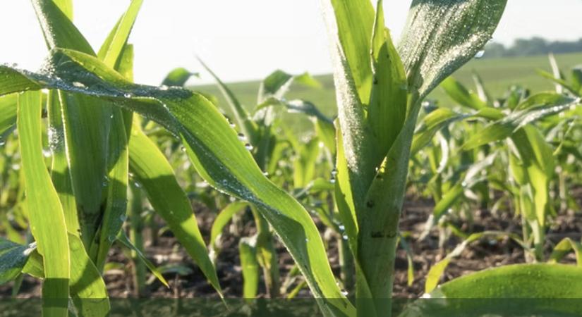 Az AGRO MASTERS YIELD SHIELD rendszere technológiai együttműködések révén tovább bővíthető