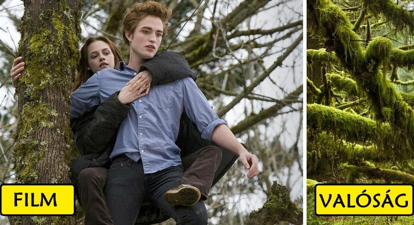 9 ikonikus hely kedvenc filmjeinkből és sorozatainkból, amelyek a való életben is léteznek