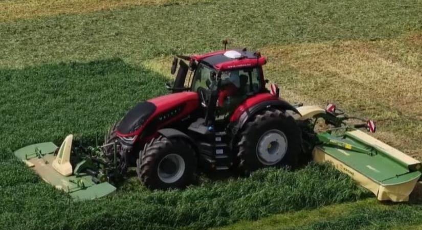 Van mit tanulni tőlük. Például kaszálni (is)