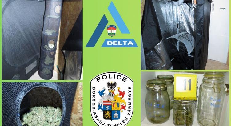 Szentistváni otthonában termesztette a kannabiszt