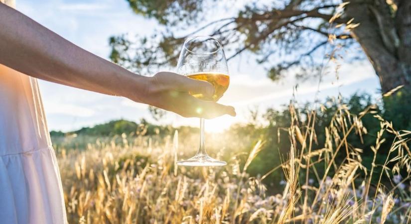 Végül is ketten maradnak, Isten és a bor: élj és dolgozz ott, ahol Hamvas Béla is tenné!