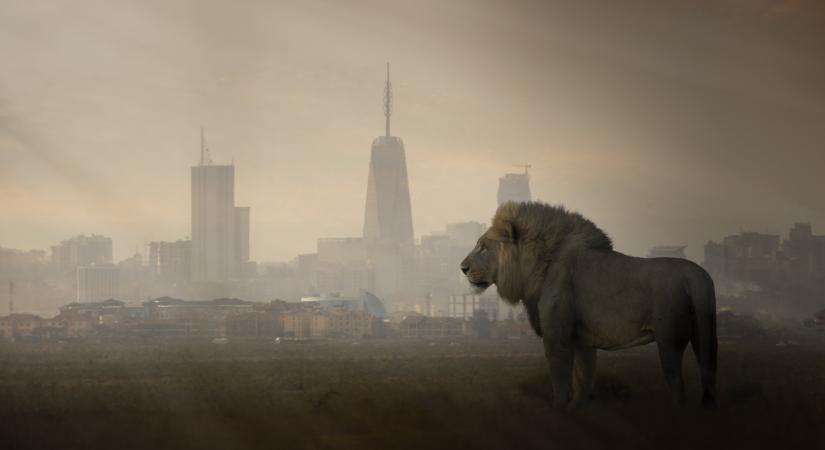 Nem tagadja a kormány, csődbe megy egy egész ország