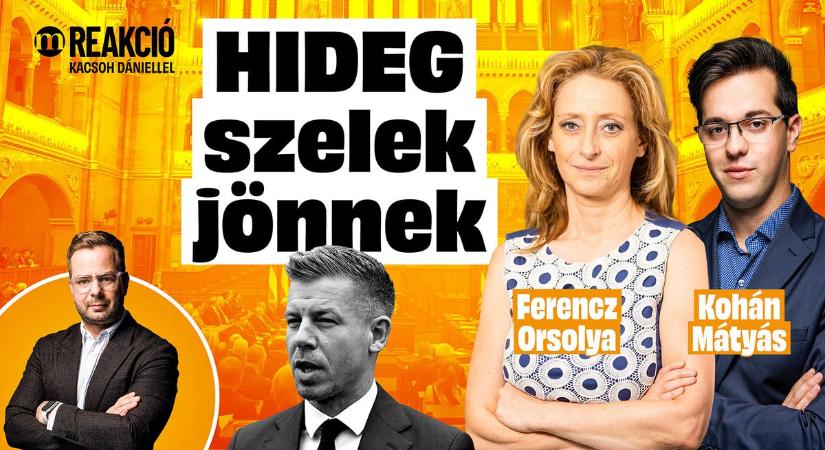 Ferencz Orsolya: Most nincs ideje a hallgatásnak!  REAKCIÓ (VIDEÓ)