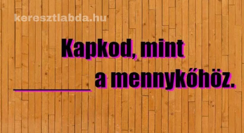 Napi közmondás feladat: „Kapkod, mint __ a mennykőhöz” – tudod a hiányzó nevet?