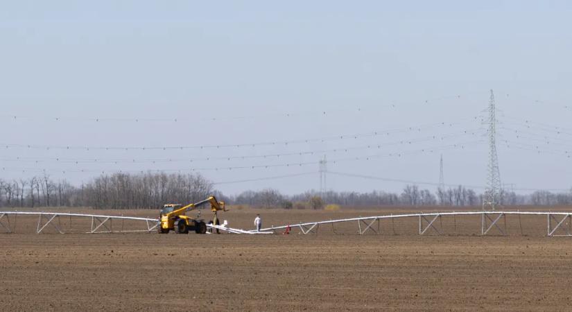 Se burgonyából, se cukorból nem vagyunk önellátóak, itt az ideje átalakítani a mezőgazdaságot