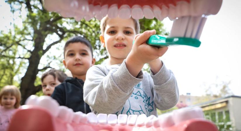 Baci-vadászat és gyümölcsparti: Különleges napot varázsoltak a Perczel utcai óvodába (galéria)