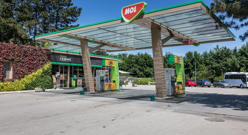 Hivatalos, hogy a Mol csak a harmadik negyedévben fizet osztalékot a részvényeseinek