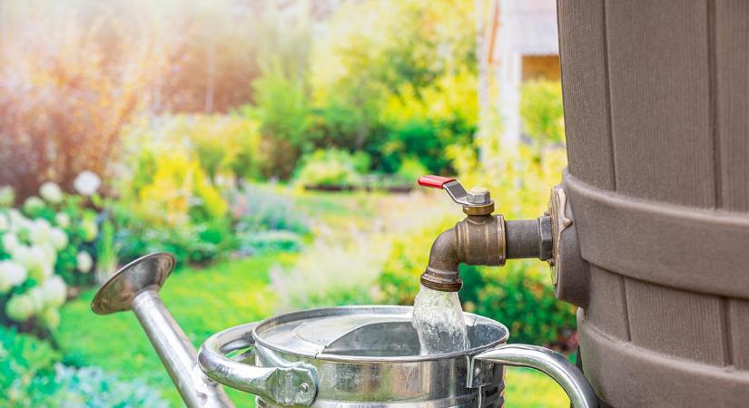 Vízmegtartás a kertben: hogyan készüljünk a nyári aszályra már tavasszal?