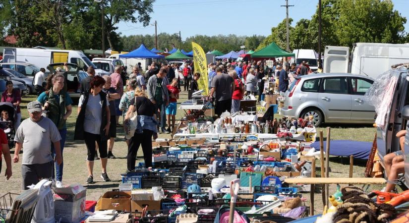 Vásárdömping a hétvégén: Mórahalmon állatok, Szegeden kacatok, országosan pedig igazi kincsvadászat vár