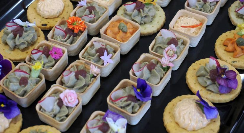 Új szintre lépett Veszprém népszerű önkiszolgáló étterme: megnyílt az Allegro Liget (galéria)