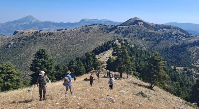 Több mint kétszáz feltáratlan lelőhelyet azonosítottak Eretria közelében