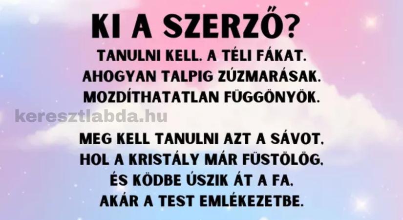 Napi irodalom feladat: kötelező volt, de tudod még, kinek a verse?
