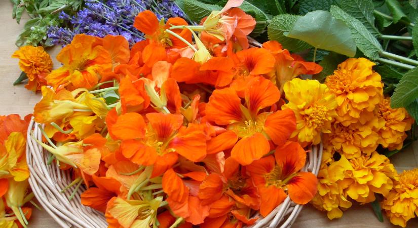 Édes-savanyú-csípős: ez a három virág a te kertedből sem hiányozhat