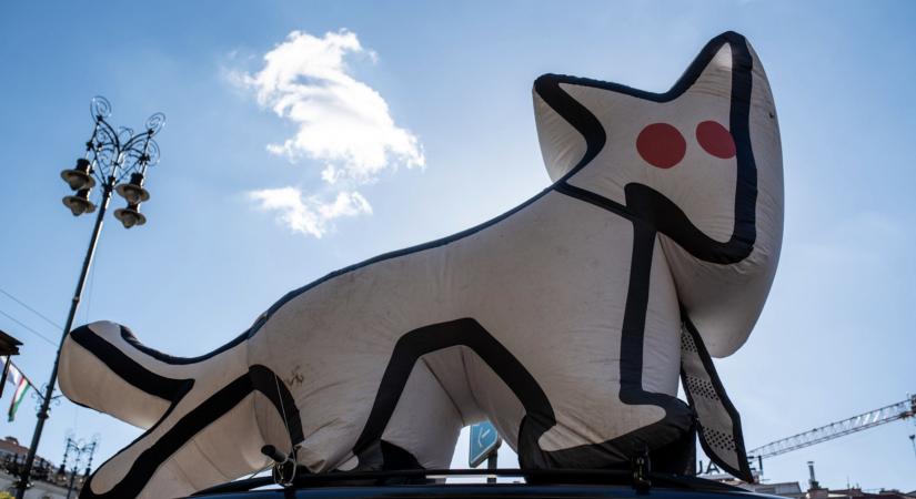 Több ezren adakoztak a Kutya Pártnak, de még így is nagy a baj