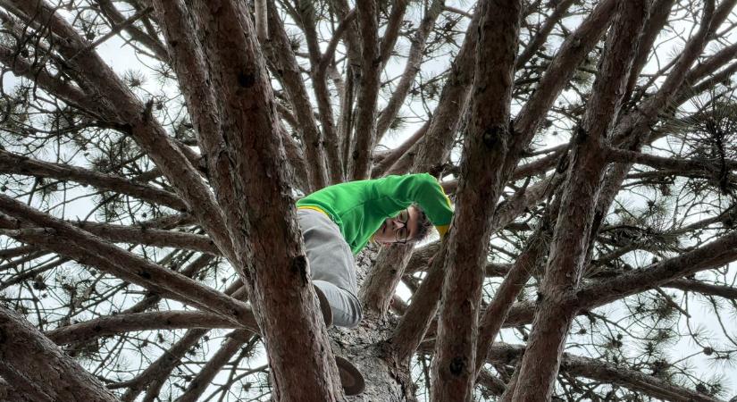 Sokan nekivágnak, de nem mindenki jut fel a Bátorság-fán: most kiderült, mire képesek az diákok