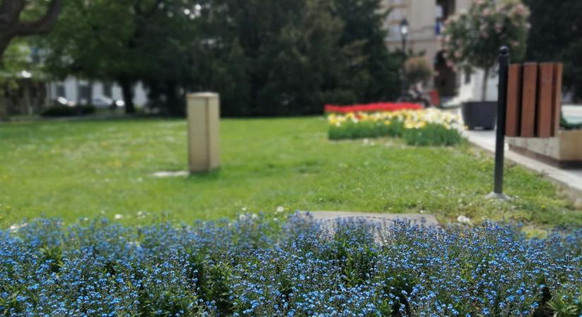 Folynak a tavaszi munkák Vásárhely zöldterületein