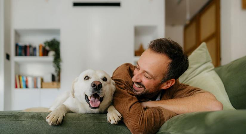 Állatorvosok szerint ez az 5 leggyakoribb hiba, amit a gazdik elkövetnek