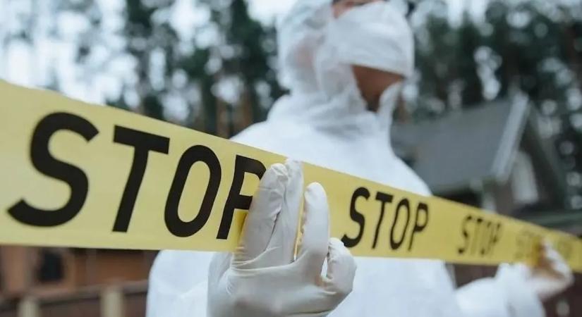 Holttestet találtak Pécsen, egyelőre senki sem tudja, mi történt