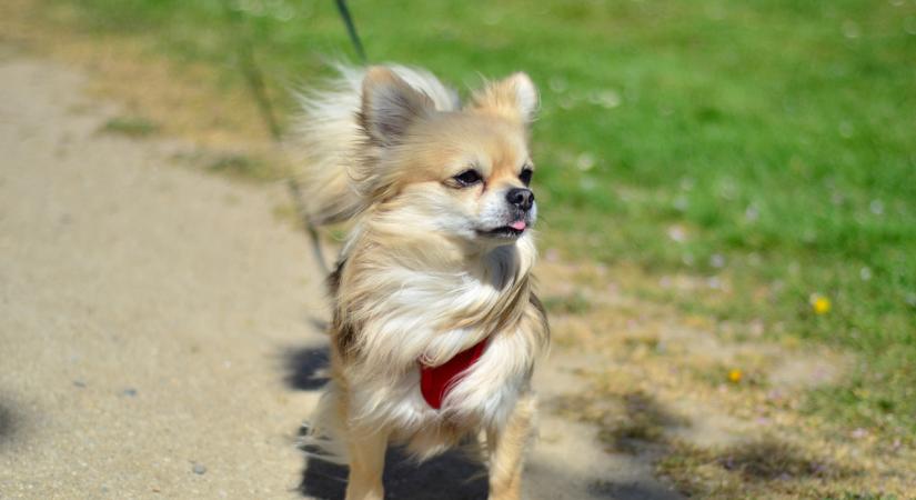 Napos időnk lesz, de szélre számíthatunk