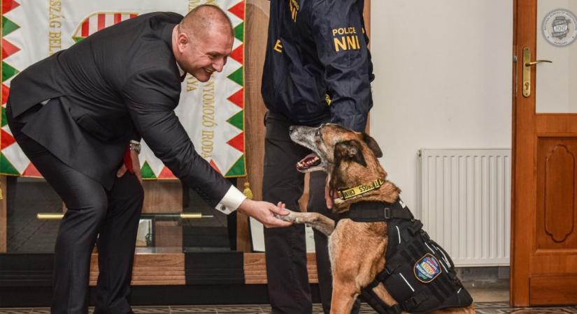 Cukiságbombát közölt a Rendőrség, miután nyugdíjazott egy kábítószer-kereső kutyát