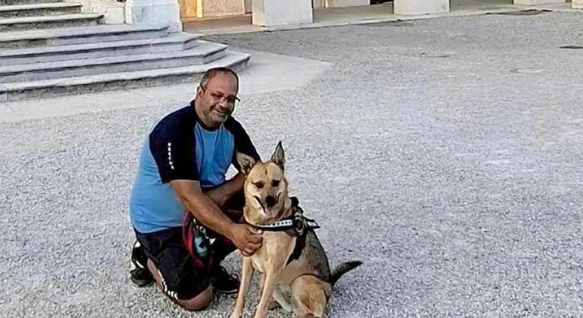 Új információk derültek ki a gazdáját villogtatással megmentő soproni kutyáról