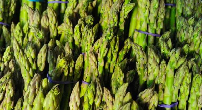 Elindult a spárgaszezon, a kereslet évről évre nő