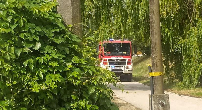Tűzoltóautó, KRESZ-park és szülői piknik - jön a Biztonságos Családi Nap