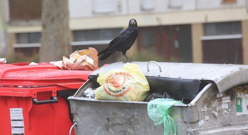 Rengeteg a gond a közterületeken, nem egy helyen döbbenetes állapotok uralkodnak