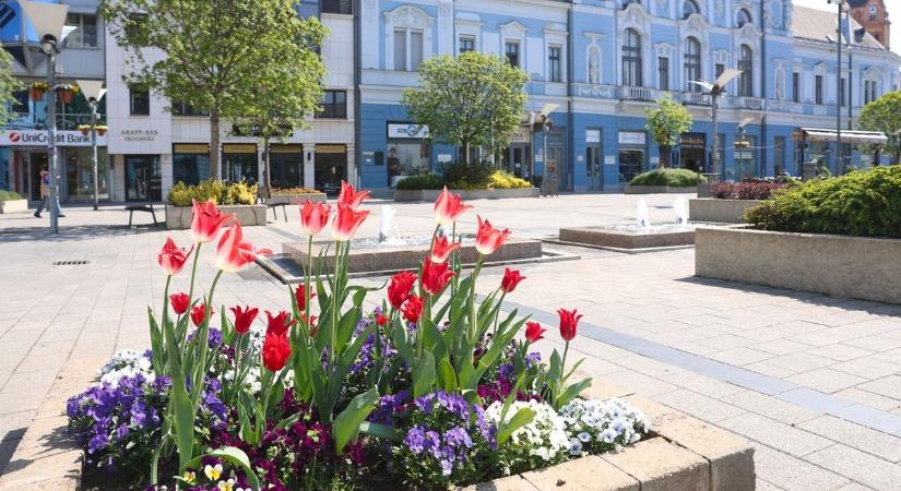 Fotókon és videón Nyíregyháza színpompás parkjai