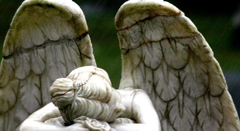 Gyászol az ország: meghalt a magyar televíziózás legendája